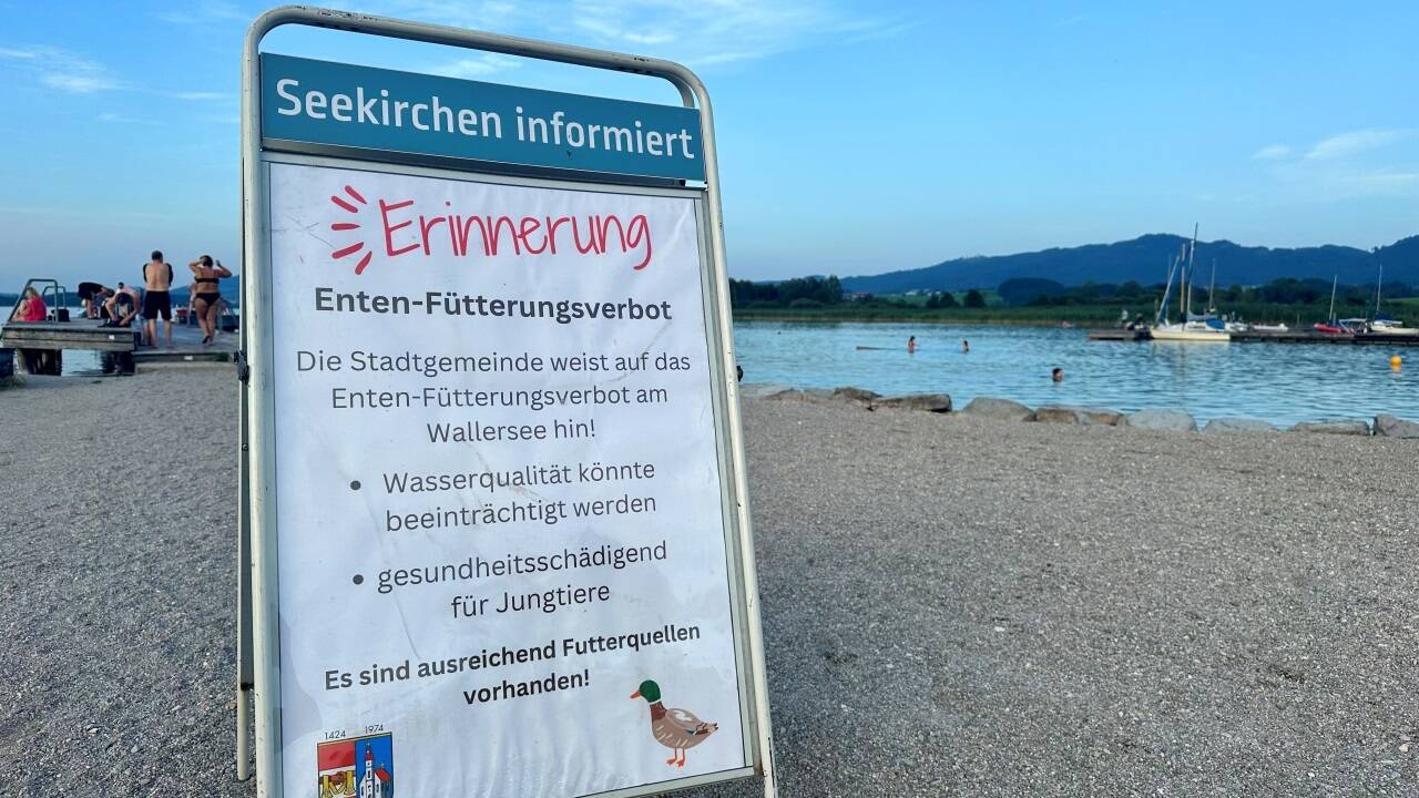 Hinweistafel in Seekirchen. Hinweistafel in Seekirchen.