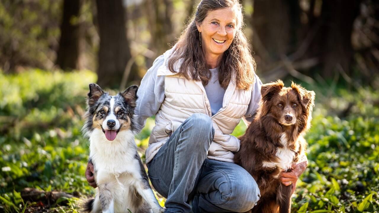 Carola Kozma vom Kynologischen Verein Salzburg mit ihren beiden Australian Sheperds.   Carola Kozma vom Kynologischen Verein Salzburg mit ihren beiden Australian Sheperds.