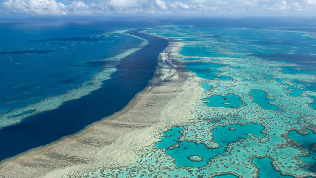 Das Great Barrier Reef  Das Great Barrier Reef