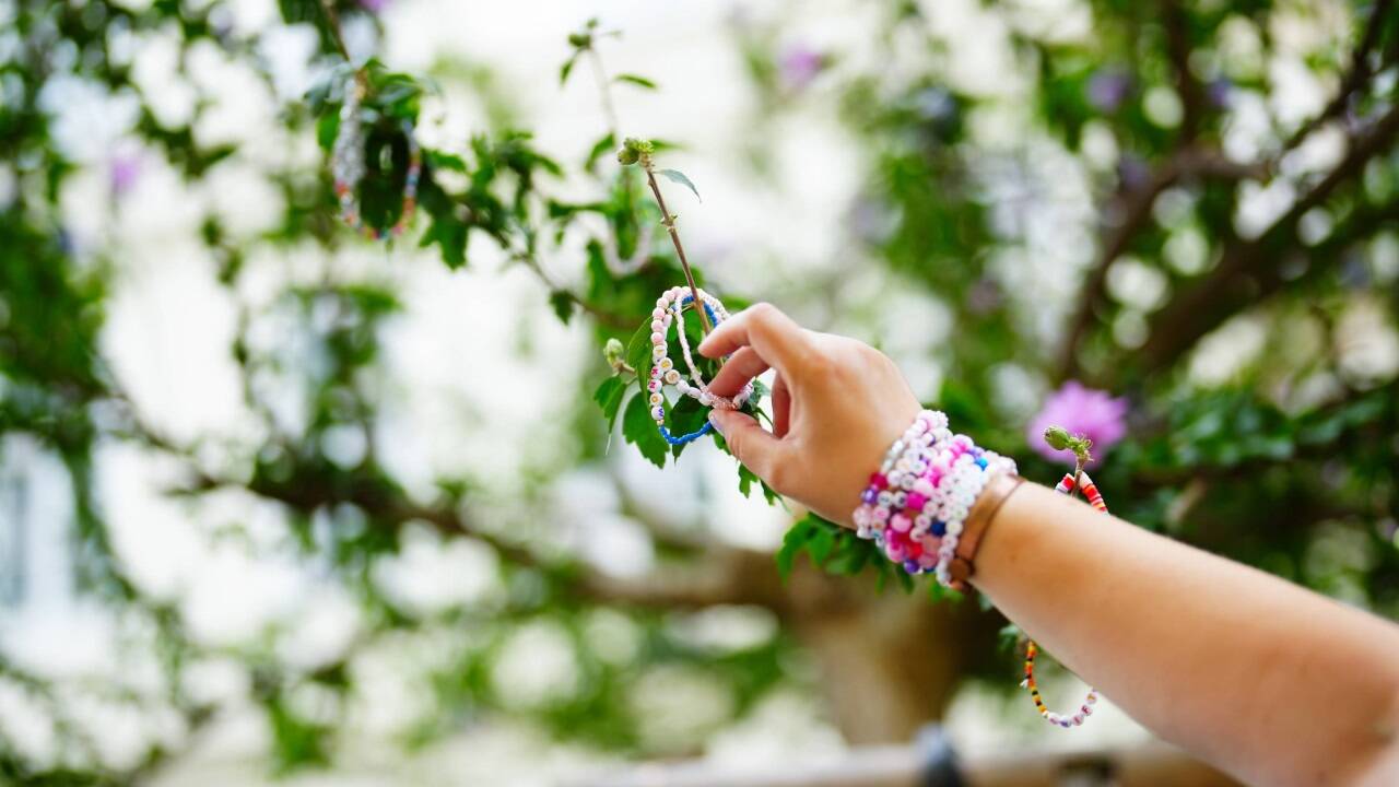 Ein Fan hängt Armbänder an den Baum in der Corneliusgasse in Wien. Ein Ort, den in dieser Woche viele aufgrund des Liedes „Cornelia Street“ besucht haben. Ein Fan hängt Armbänder an den Baum in der Corneliusgasse in Wien. Ein Ort, den in dieser Woche viele aufgrund des Liedes „Cornelia Street“ besucht haben.