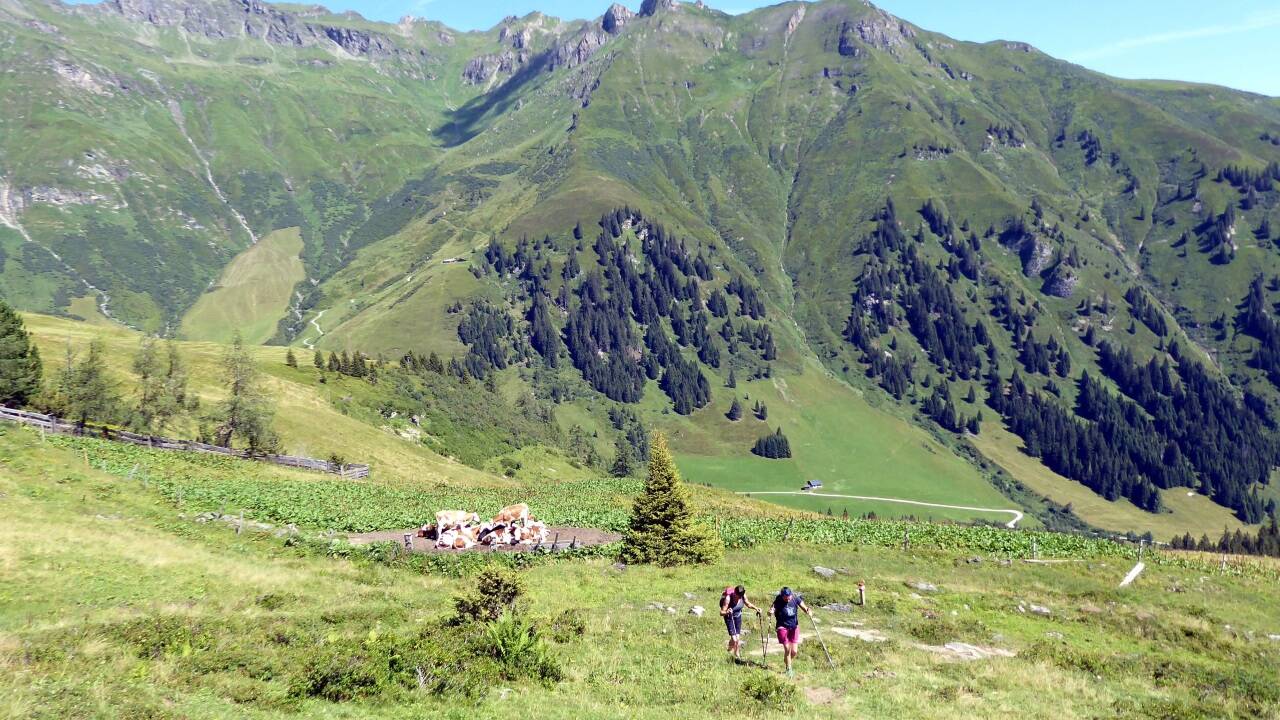 Die letzten Meter zur Felding Hütte. Im Hintergrund die Türchlwand. 