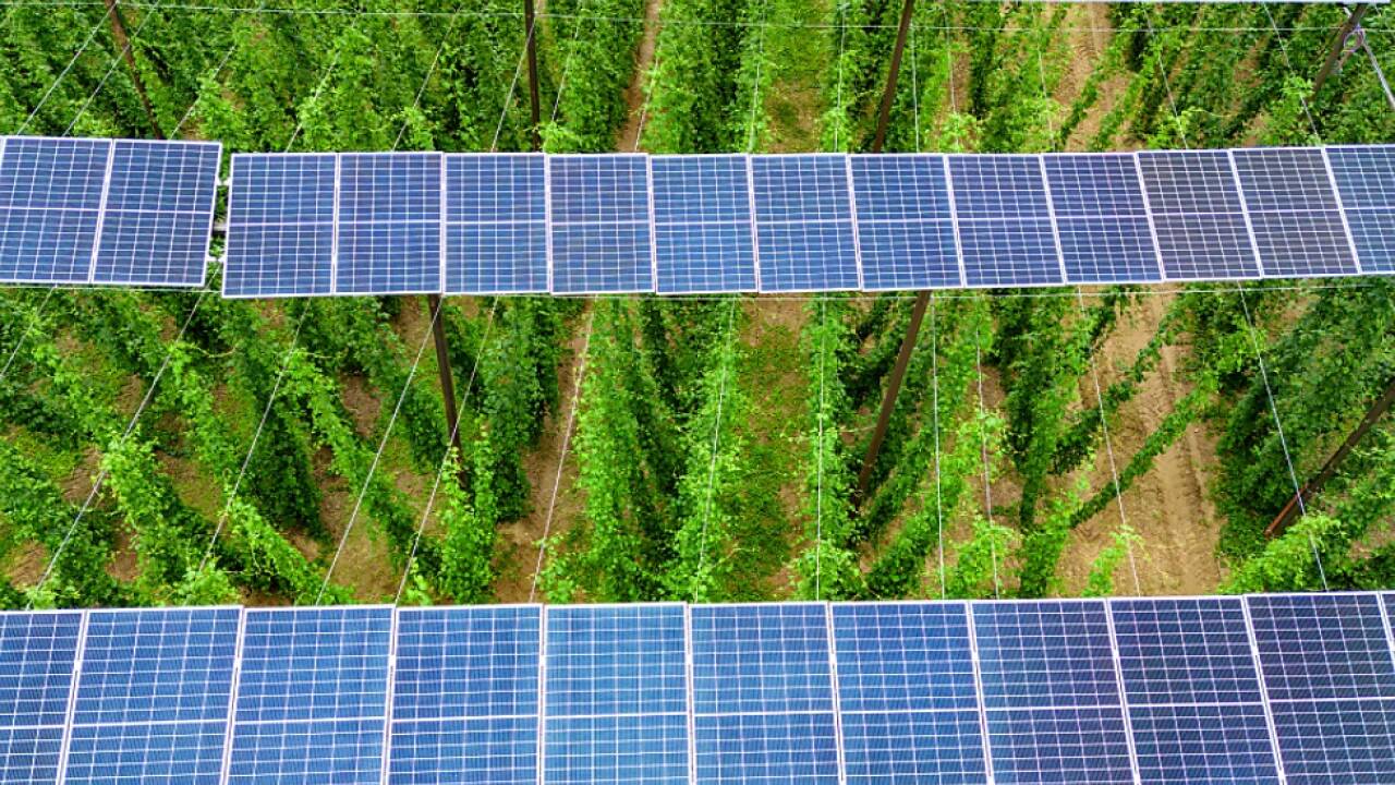Rekordanstieg der Stromproduktion aus Photovoltaik 