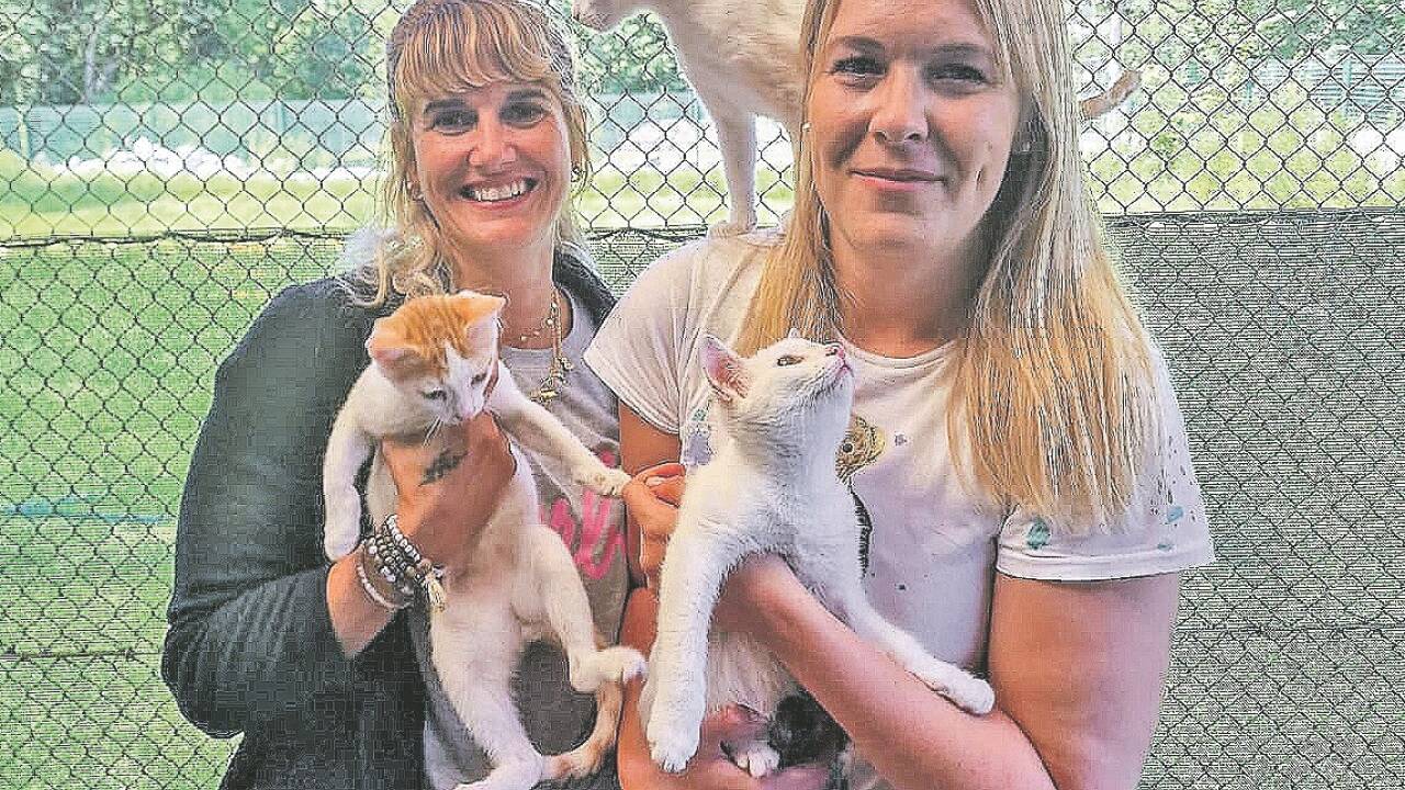 Marlies Lochmann (links) und Isabella Gruber mit den „Gollinger Babykatzen“. 