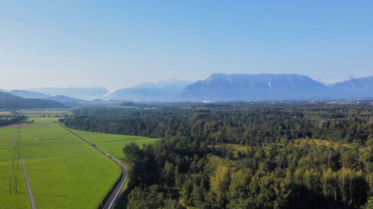 Der Kaufvertrag regelt, was das Land mit der 520 Hektar großen Fläche anstellen darf – nicht viel. Der Kaufvertrag regelt, was das Land mit der 520 Hektar großen Fläche anstellen darf – nicht viel.