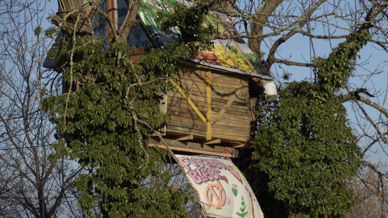 Das Baumhaus in der Fischa-Au gibt es nicht mehr.  