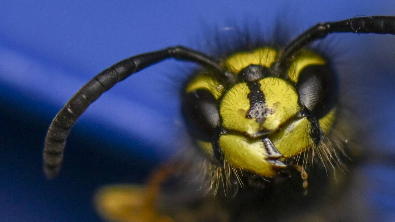 Bergretter aus Mayrhofen waren im Einsatz.  