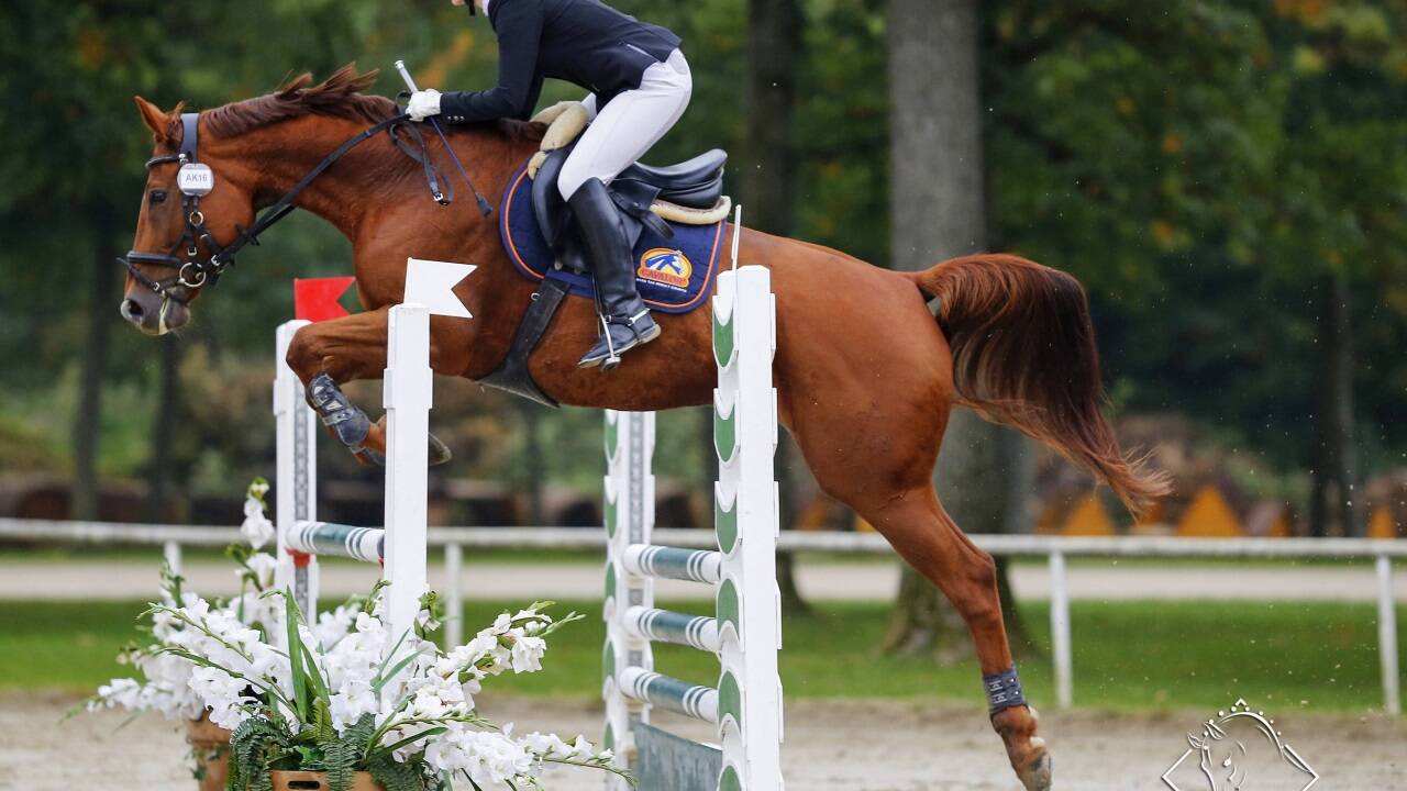 Jana Seidel beim Springen mit ihrer Stute „Dolce Vita“. Jana Seidel beim Springen mit ihrer Stute „Dolce Vita“.