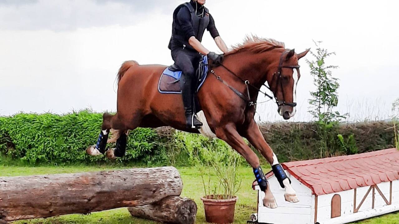 Andreas Bebek springt mit seinem „Larry“ in den Teich. Bilder: Team Myrtill Andreas Bebek springt mit seinem „Larry“ in den Teich. Bilder: Team Myrtill