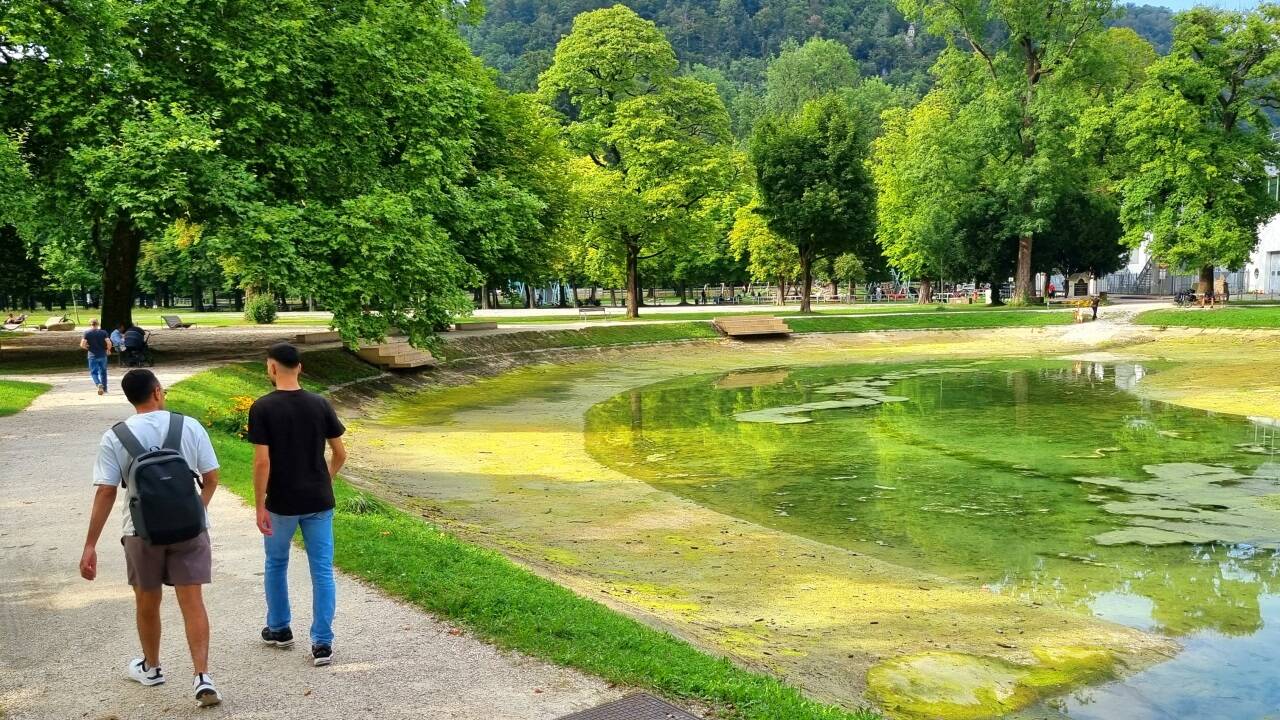 Im Volksgartenweiher in der Stadt Salzburg herrscht derzeit noch Ebbe. Im Volksgartenweiher in der Stadt Salzburg herrscht derzeit noch Ebbe.