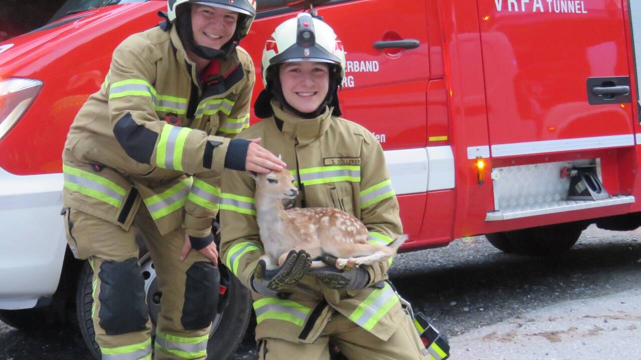 Einsatz Nummer 143 brachte die Einsatzkräfte der Freiwilligen Feuerwehr Pfarrwerfen zum Schmunzeln. Einsatz Nummer 143 brachte die Einsatzkräfte der Freiwilligen Feuerwehr Pfarrwerfen zum Schmunzeln.
