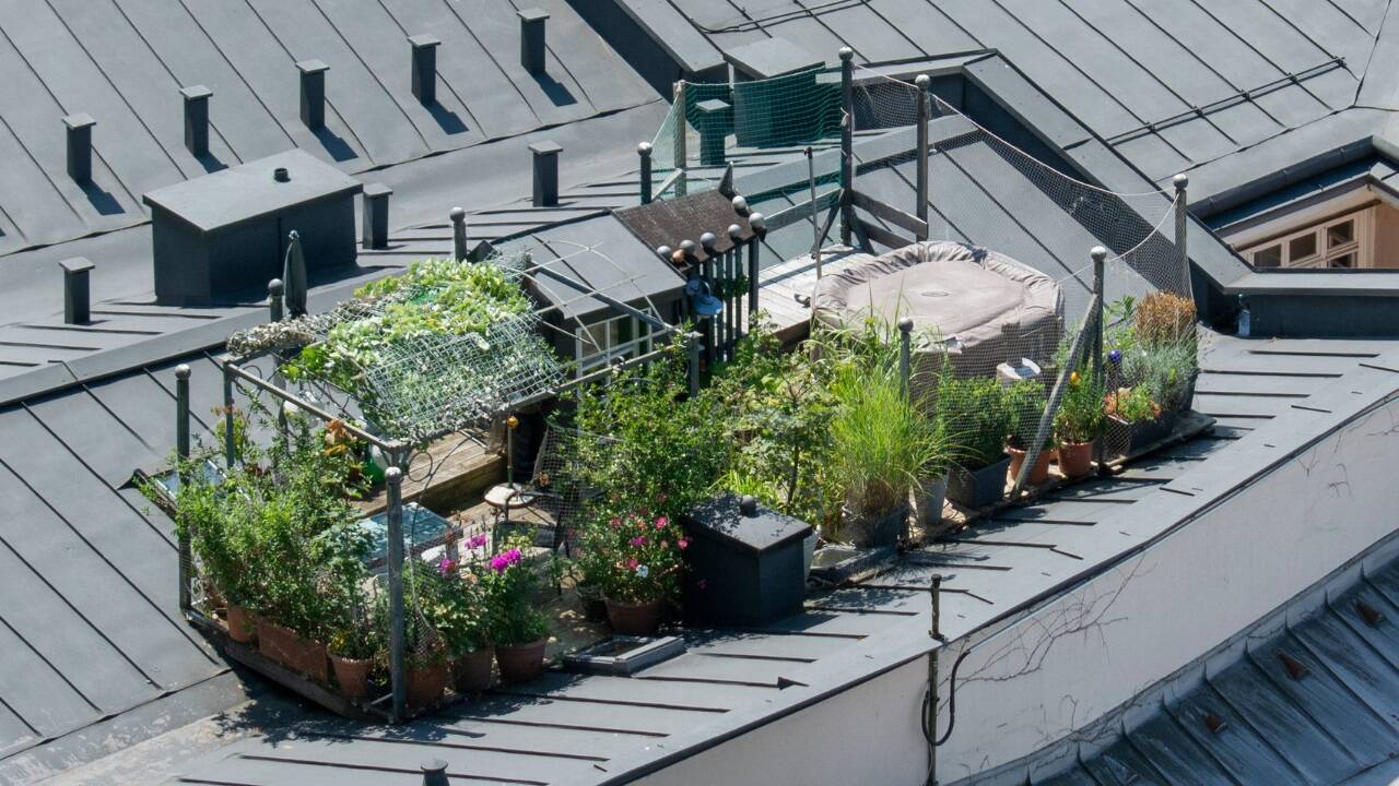 Kreativität ist gefragt, wenn es um zusätzlichen Wohnraum in Salzburg geht. 