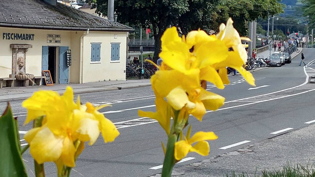 Blick in Richtung Staatsbrücke ...  