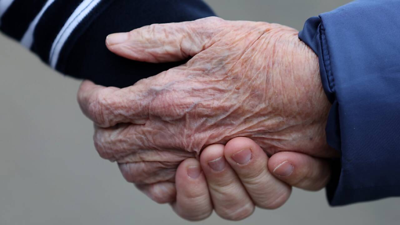 Der Großteil der Mittel fließt in den Bereich Pflege 
