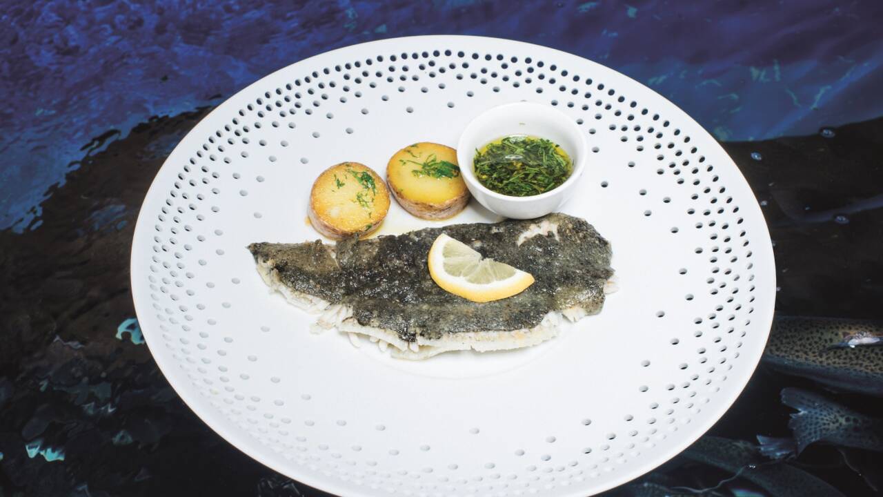 Damit der Steinbutt beim Braten nicht anklebt, verwendet Stiegler außergewöhnlich viel Olivenöl. Geschmacklich hebt sich dieser Fisch enorm von den meisten seiner Artgenossen ab. 