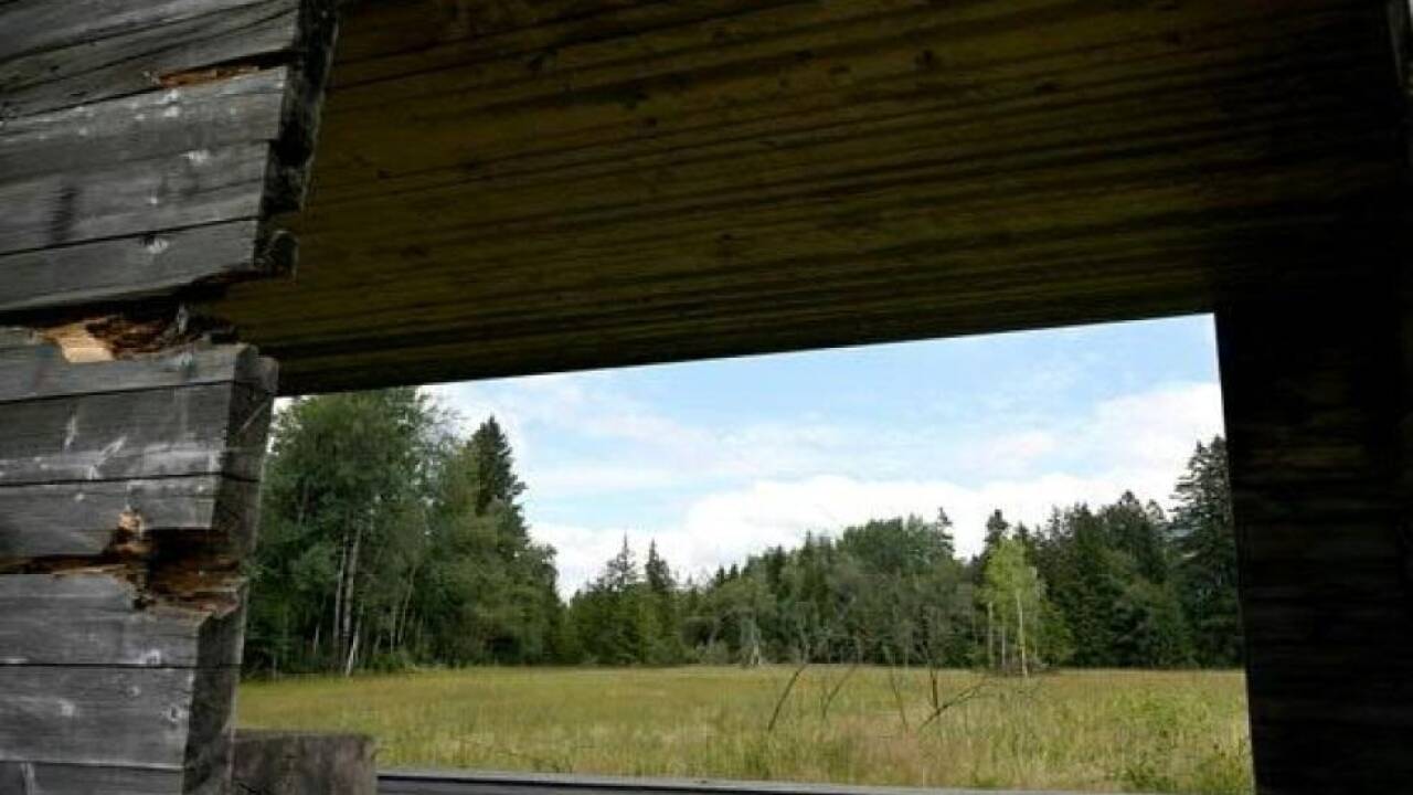 Moor Salgenreute 