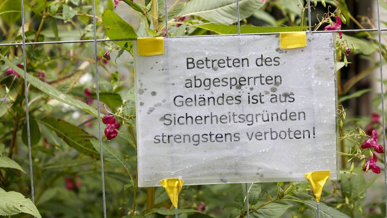 Der Stadel ist seit 2015 von der Behörde wegen Baufälligkeit gesperrt.  