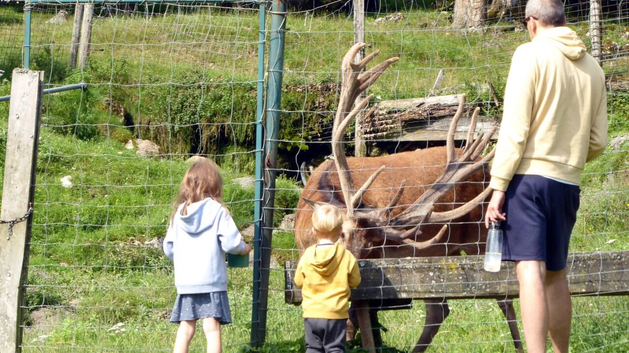 Spannende Begegnung im Tierpark Kleefeld am Fuß des Sparbers.  