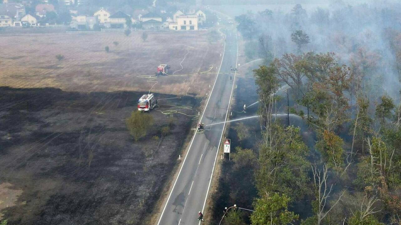 Kaum kontrollierbar: Waldbrand südlich von Gänserndorf (NÖ). 