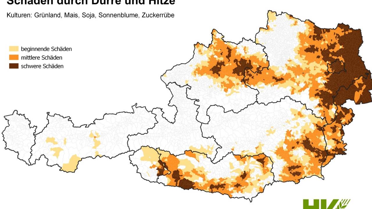 Schäden durch Dürre und Hitze. 