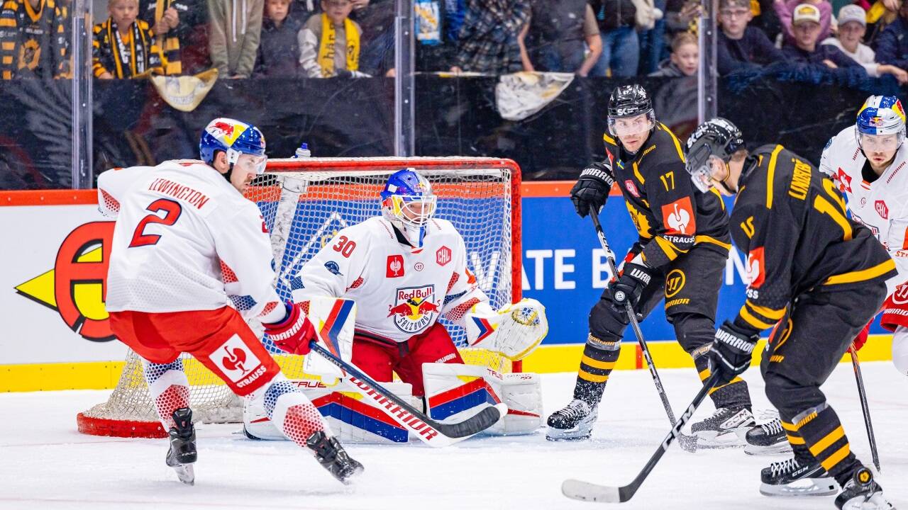 Der schwedische Meister Skellefteå will Salzburg wieder unter Druck setzen. Der schwedische Meister Skellefteå will Salzburg wieder unter Druck setzen.
