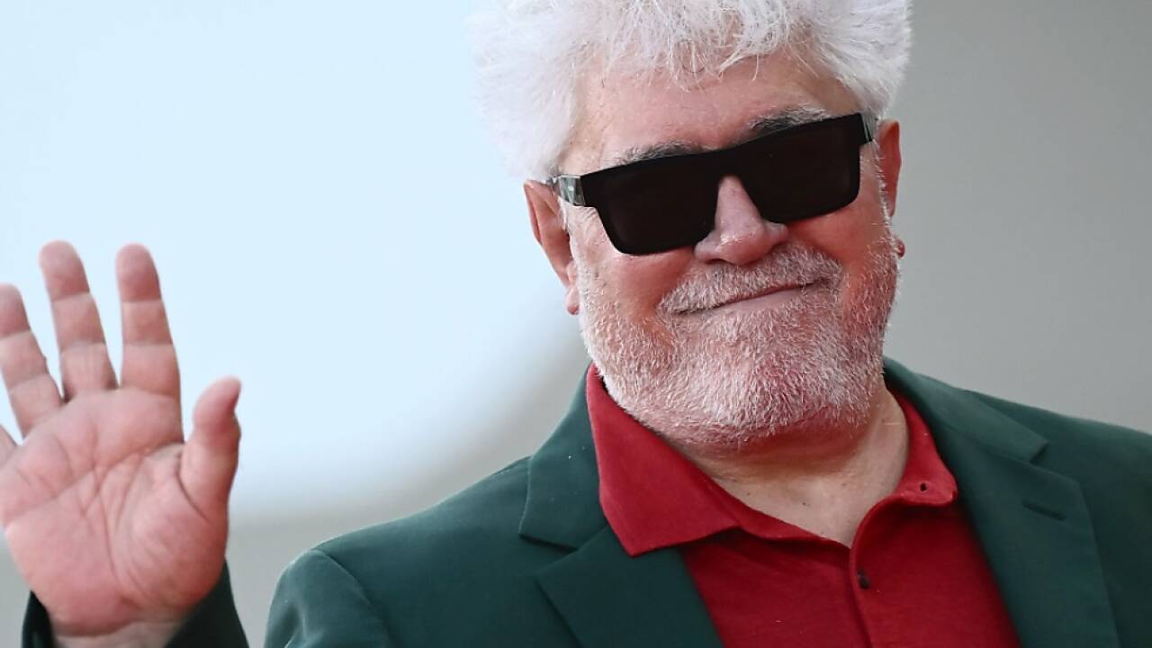 Pedro Almodovar kann vielleicht bald einen Löwen in den Händen halten. 