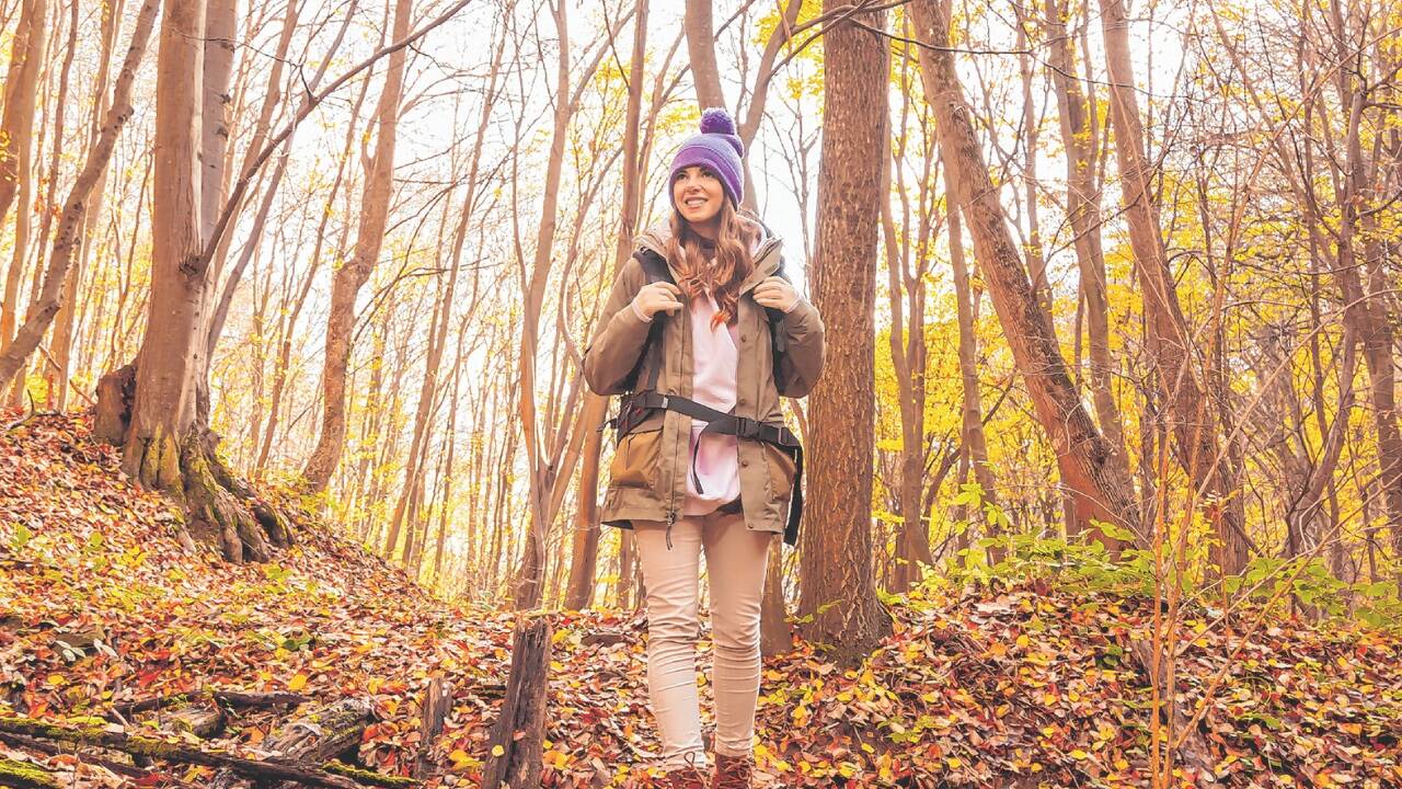 Ein Spaziergang durch das Herbstlaub eignet sich wunderbar, um die Methode der Achtsamkeit zu erproben. 