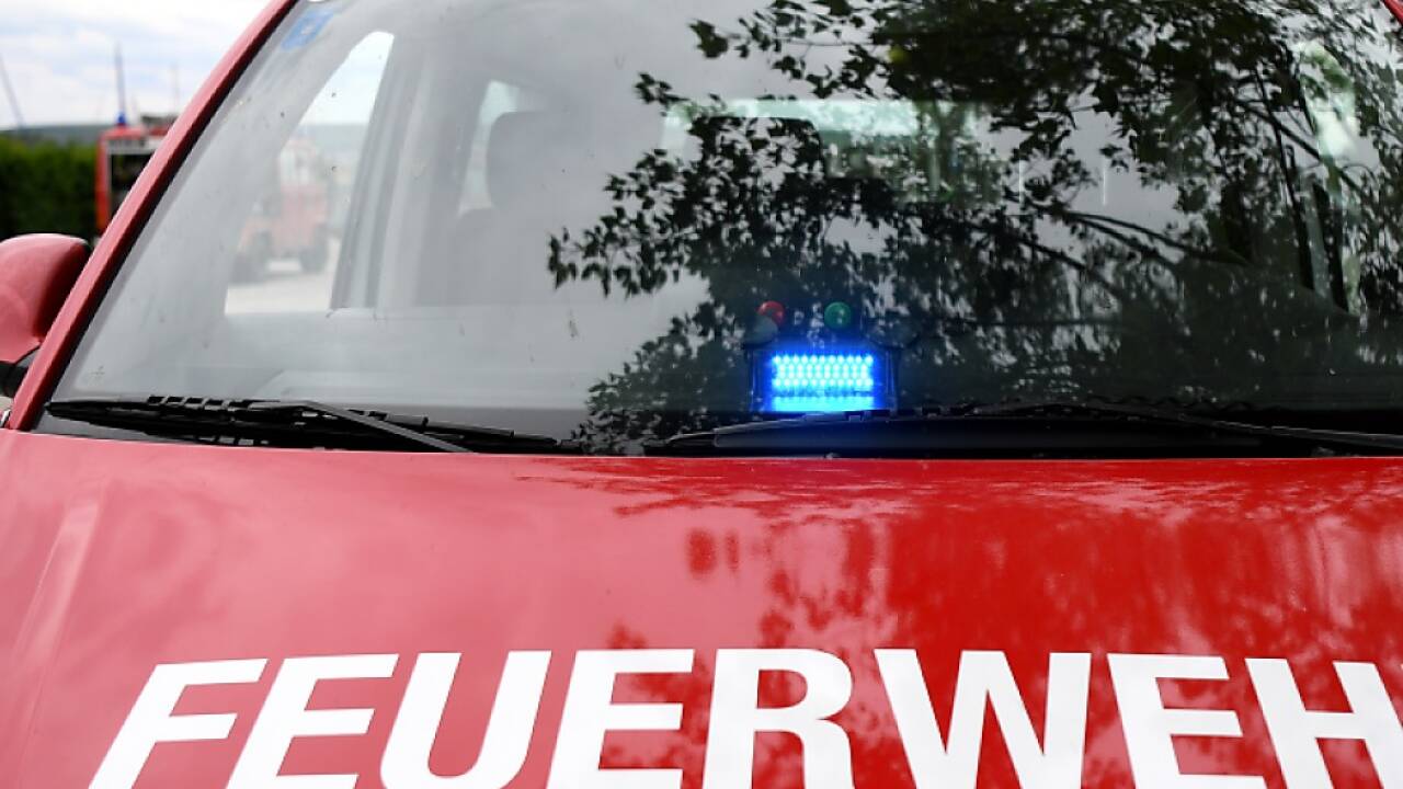 Nicht alltäglicher Einsatz für die Helfer 