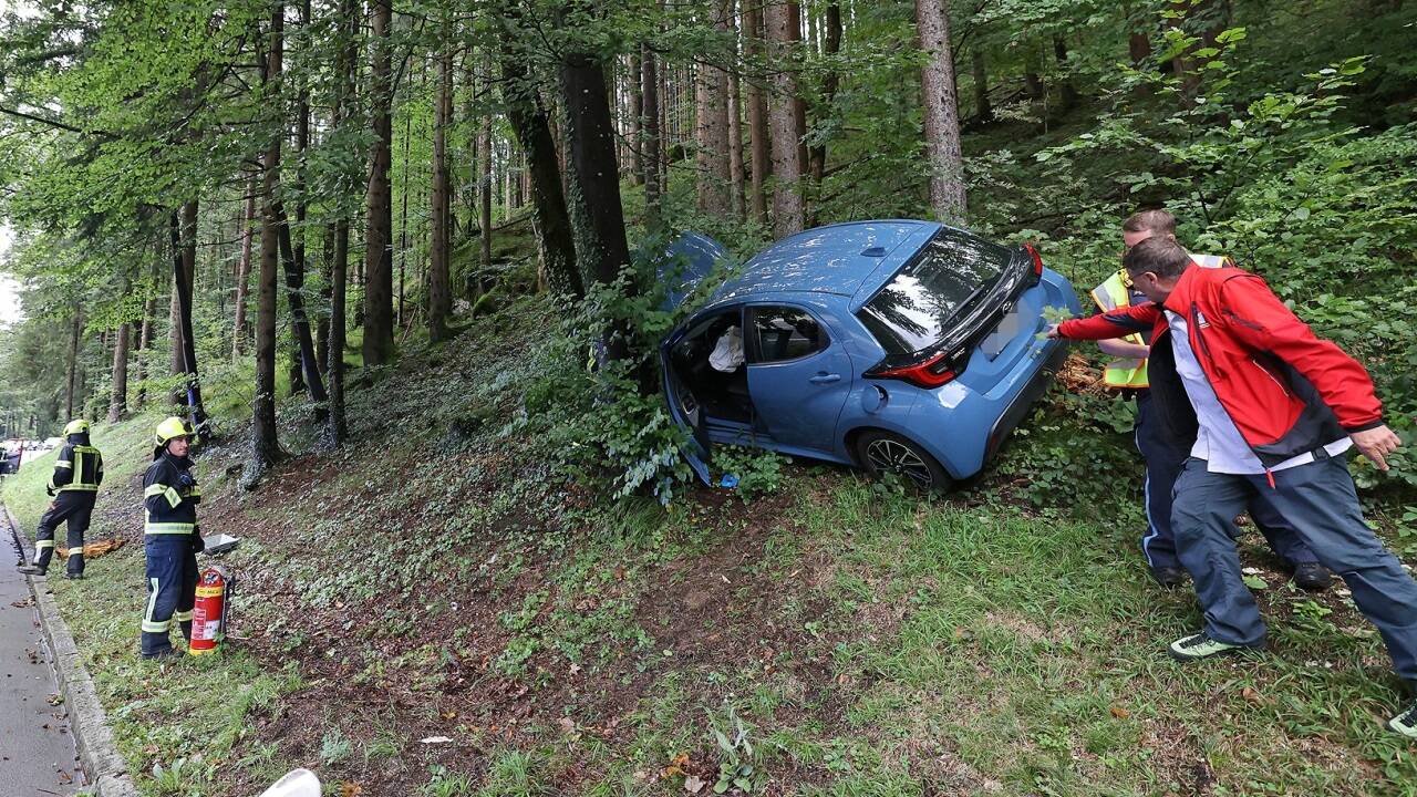 Über die Böschung gegen den Baum . . .  