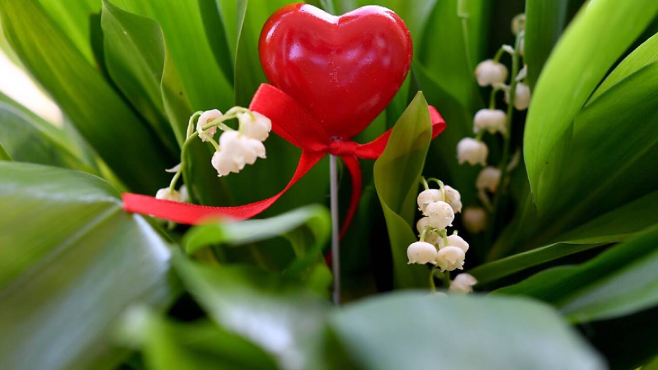 Eltern haben extreme Angst über Tod zu sprechen 