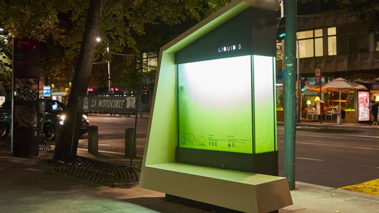 Ein „flüssiger Baum“ in der Innenstadt von Belgrad. 