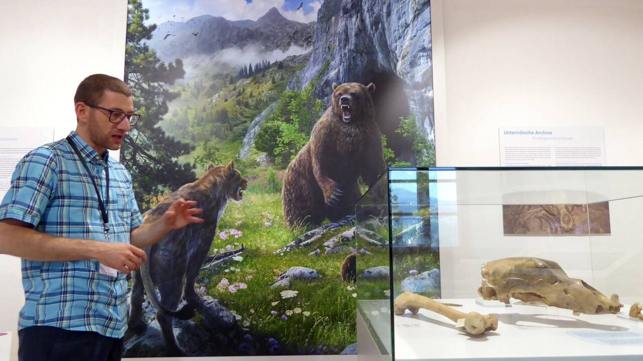 Der Museumsleiter Sebastian Krutter zwischen Höhlenbären in unterschiedlichen Lebensphasen.  