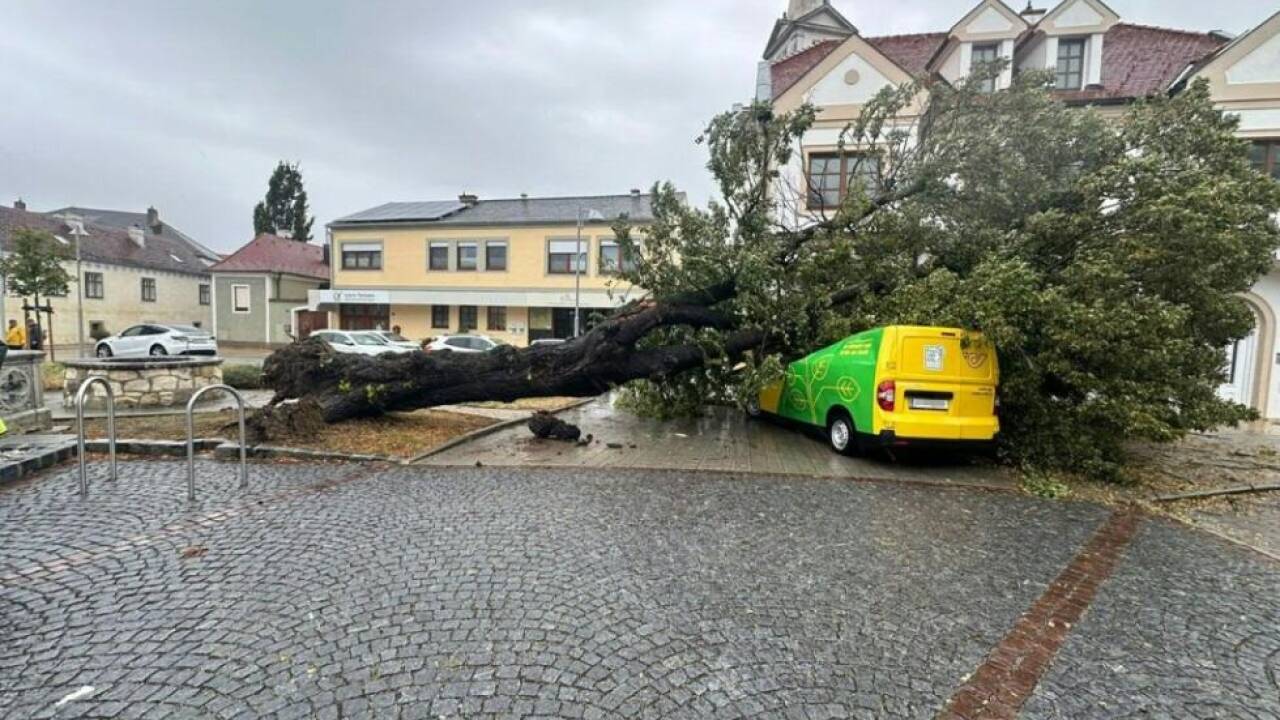 Baum stürzte im Burgenland auf Postauto Baum stürzte im Burgenland auf Postauto