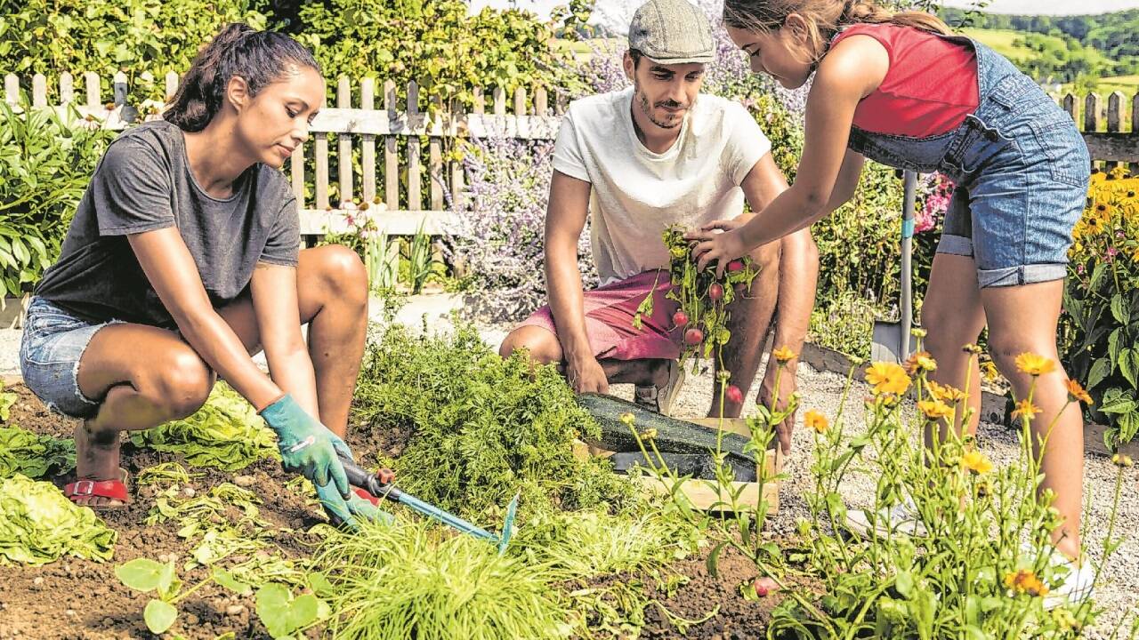 Der Garten wird dem jeweiligen Lebensabschnitt angepasst. Der Garten wird dem jeweiligen Lebensabschnitt angepasst.