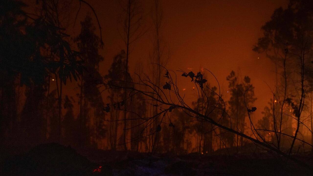 Der Klimawandel stellt die Gesellschaft vor große Herausforderungen.  