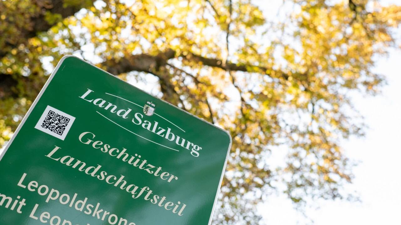 Auch bei der Materie der Landschaftsschutzgebiete soll sich die Landesumweltanwaltschaft nicht mehr einmischen können. 