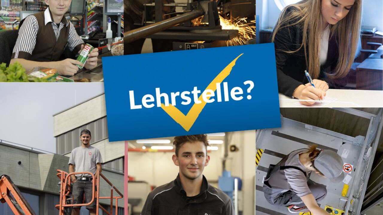 Lehrlinge aus verschiedenen Bereichen berichten von ihren ersten Erfahrungen in der Berufswelt.  