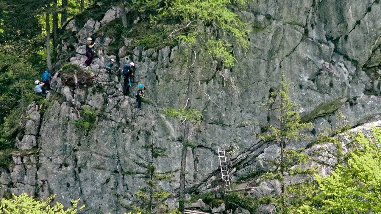 Herausforderung für kleine Alpinisten: der luftige Quergang im Kinderklettersteig „Gams Kitz“. 