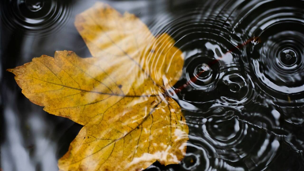 In Deutschland dürfte die Konjunktur heuer schwach bleiben 