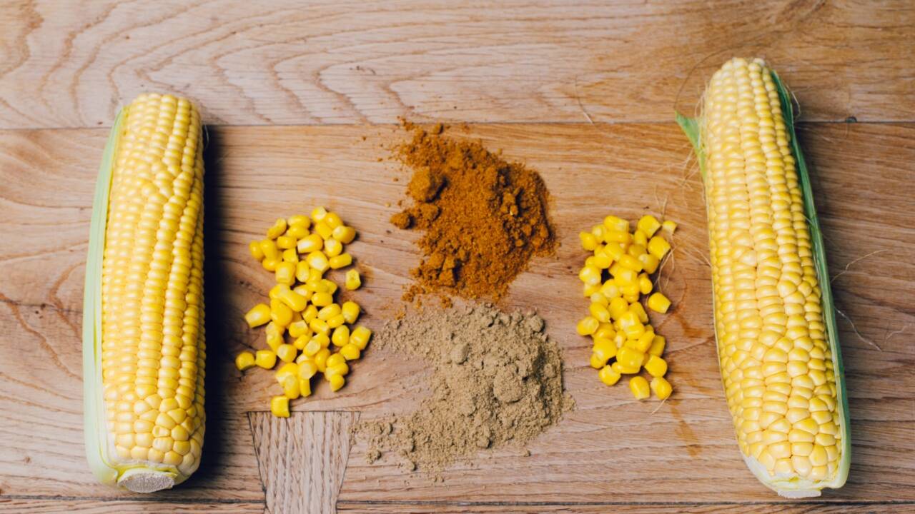 Mit goldgelbem Mais ködert man im Wald die Wildsauen und im Wasser die Karpfen. Mit einer Maiscremesuppe wiederum lockt man Gourmets in Haubenrestaurants. 