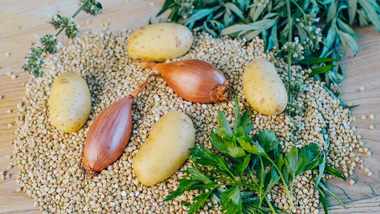 Mit goldgelbem Mais ködert man im Wald die Wildsauen und im Wasser die Karpfen. Mit einer Maiscremesuppe wiederum lockt man Gourmets in Haubenrestaurants. 