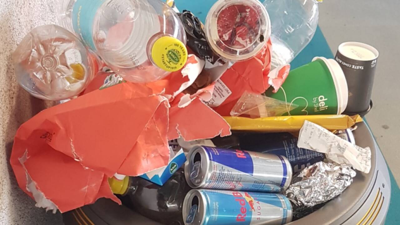 NGO will dem Müllproblem etwas entgegen setzen 