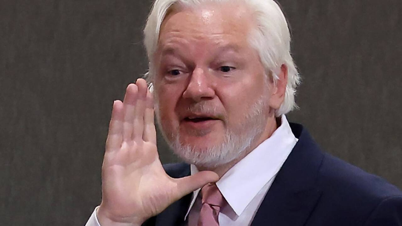 Wikileaks-Gründer vor dem Europarat 