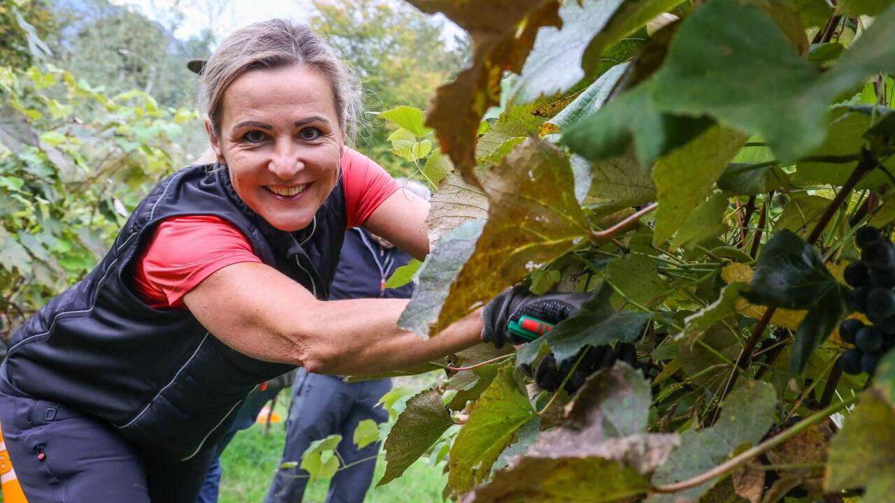 Franzmaiers Lebensgefährtin Silke Bohr-Stock ist Teil des Erntehelfer-Teams. 