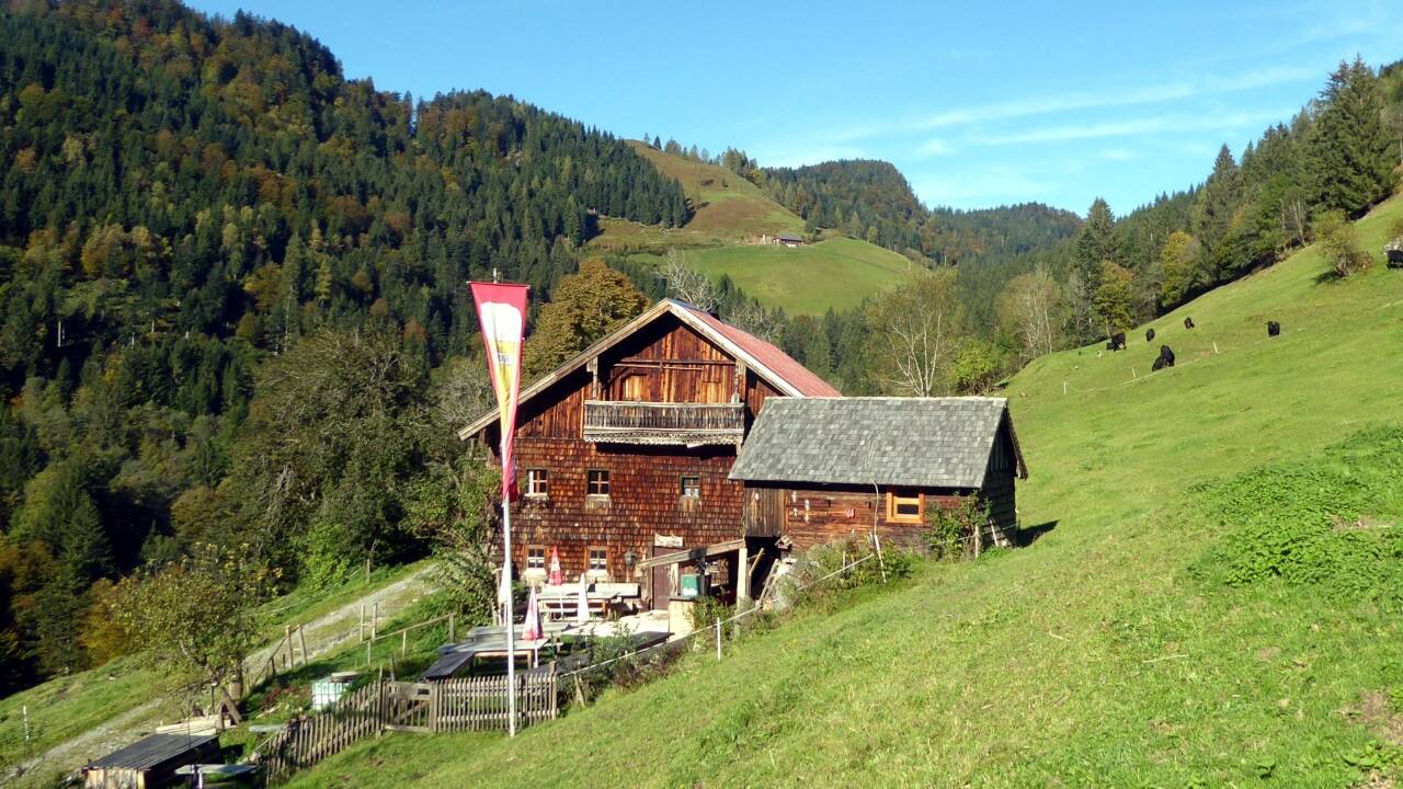 Die Seitenalm mit der Rocheralm und der Rocherhöhe im Hintergrund. 