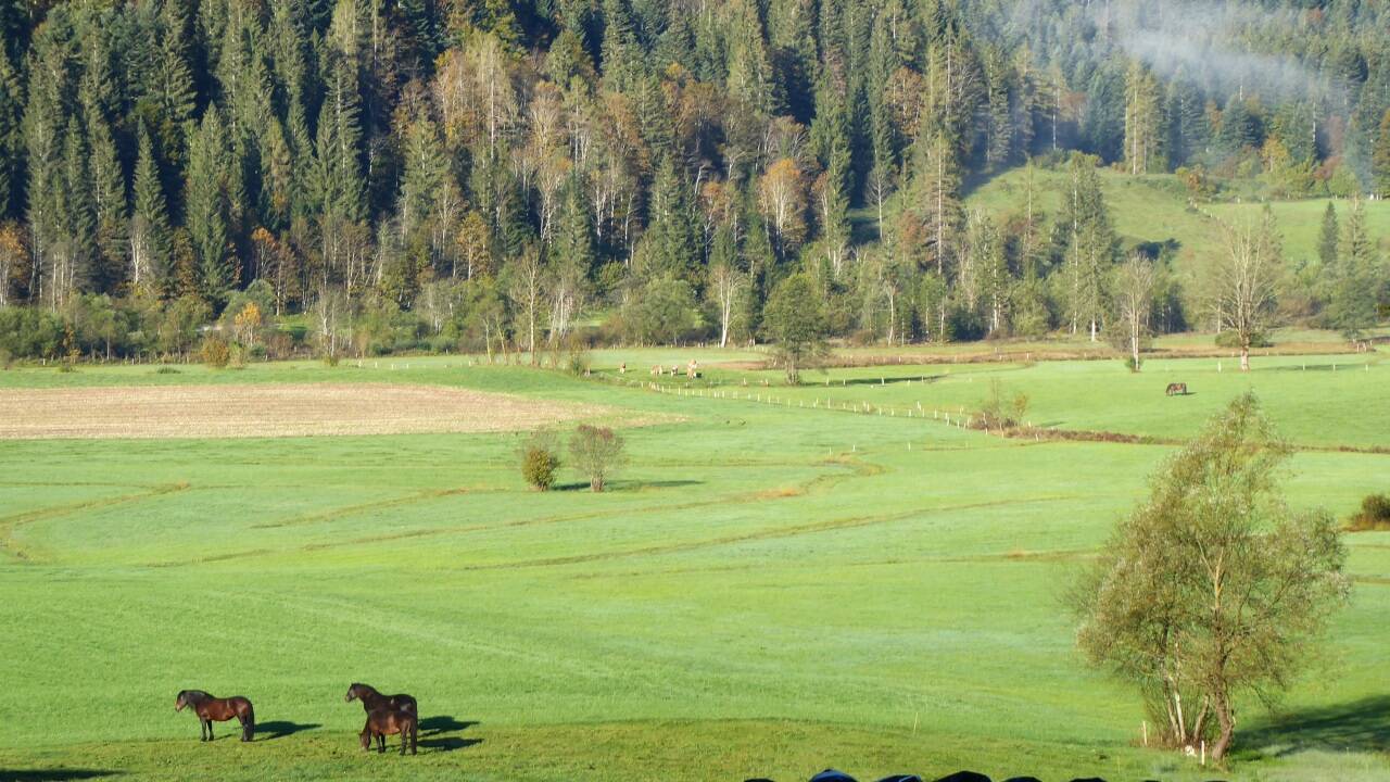Herbststimmung im Auwinkl. 