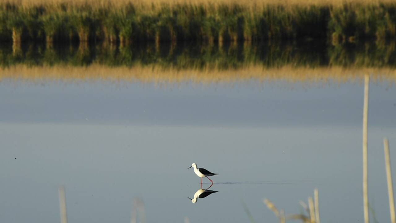 Jüngste Regenfälle füllten den Steppensee weiter  Jüngste Regenfälle füllten den Steppensee weiter