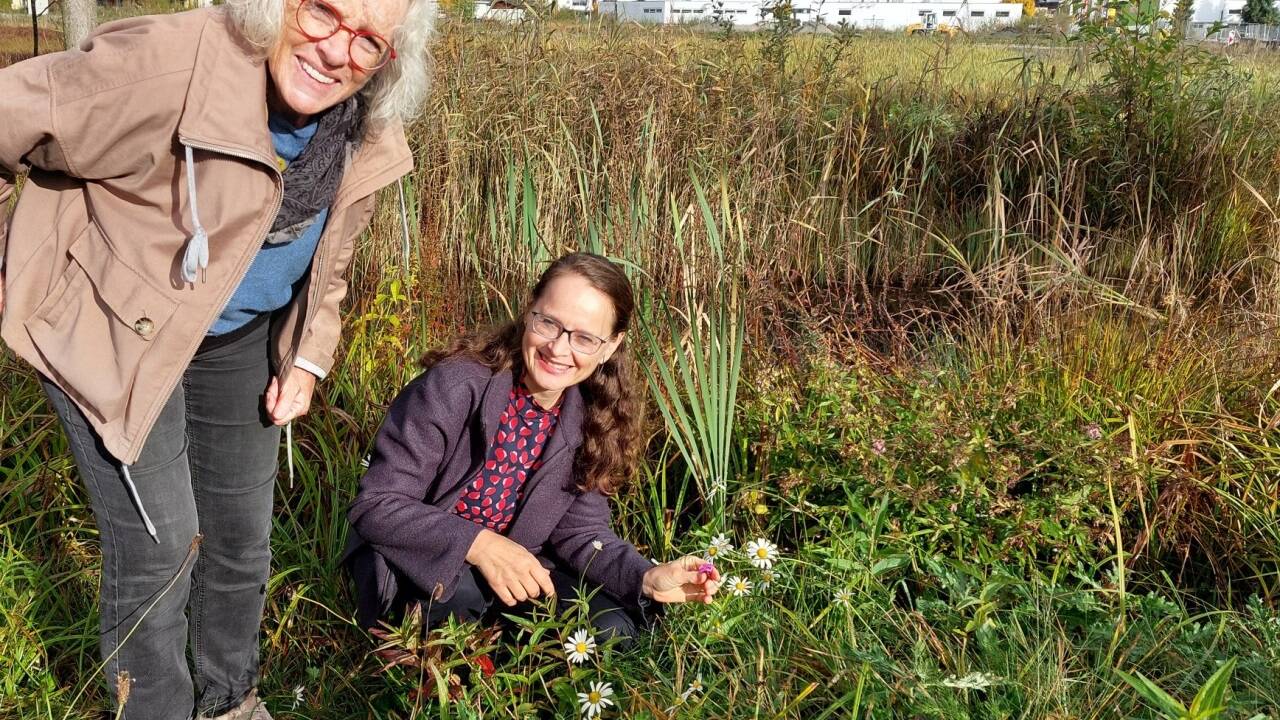 Martina Berthold (rechts) und Irene Rieder-Schroll von den Zeller Grünen an einem Biotop im Gewerbegebiet Flugplatz. 