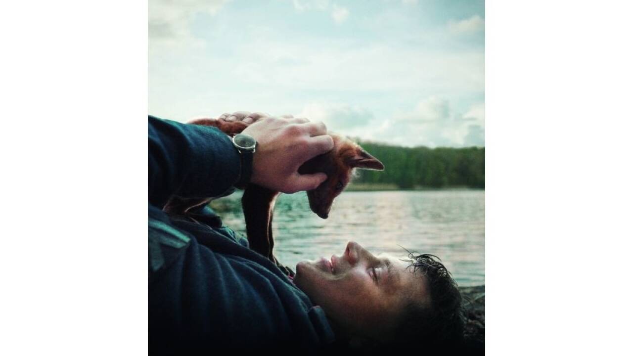 Plakatsujet zu Adrian Goigingers Film „Der Fuchs“  Plakatsujet zu Adrian Goigingers Film „Der Fuchs“