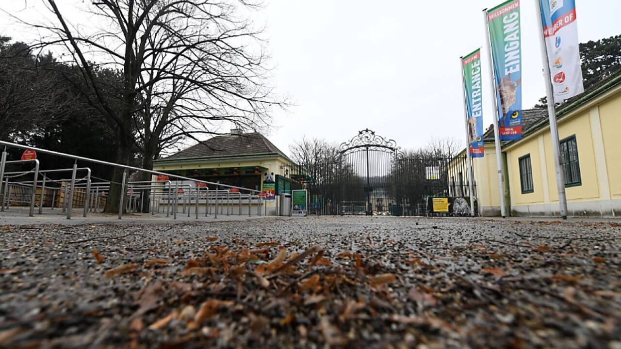 Fledermäuse 'dem natürlichen Nahrungskreislauf des Tiergartens zugeführt' 