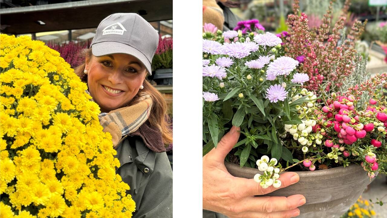 Ulrike Hitzl ist im Lagerhaus Grödig Leiterin der Gartenfachabteilung. Derzeit kommen viele, die zu Allerheiligen perfekt gepflegte Gräber haben wollen.  Ulrike Hitzl ist im Lagerhaus Grödig Leiterin der Gartenfachabteilung. Derzeit kommen viele, die zu Allerheiligen perfekt gepflegte Gräber haben wollen.